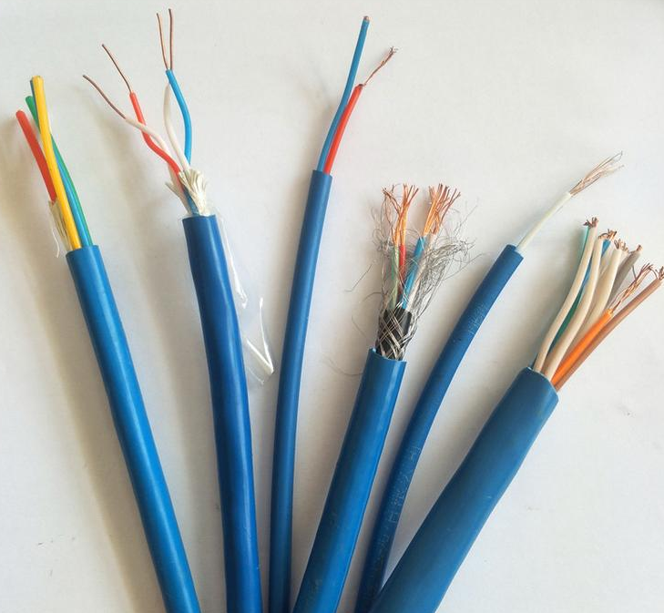 本安電纜WDZIJYDPYDP-2*2*1.0