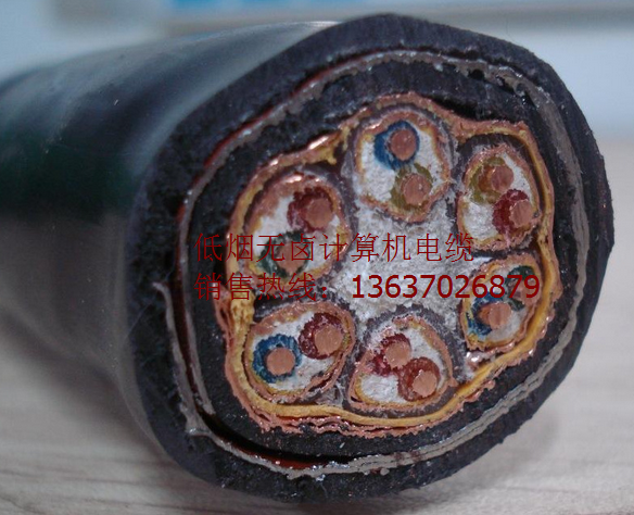 計(jì)算機(jī)電纜DJVPVP22-12*2*2.5