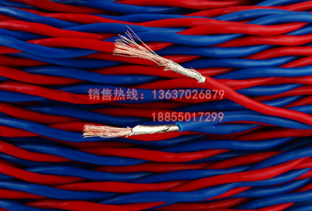 低煙無(wú)鹵電纜WDZN-RYJS-2*1.5