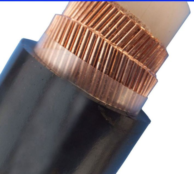 17055505756863.png QQ截圖20231222164914.png