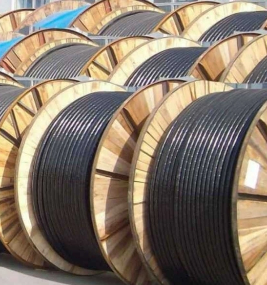 17231684993097.png 1654049910(1).png