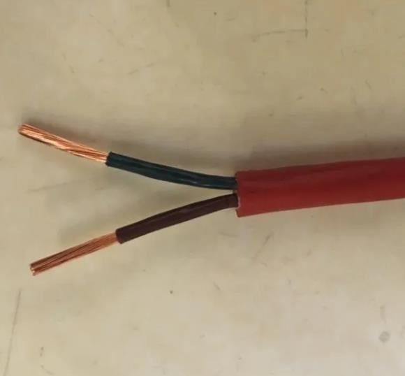 耐高溫補償導(dǎo)線ZR-KX-GSFV ZR-KXGSVP