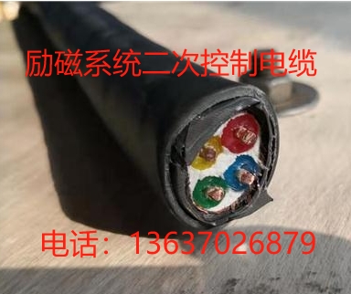 勵磁系統(tǒng)二次控制電纜WDZ-TEGP-3KV-4*4